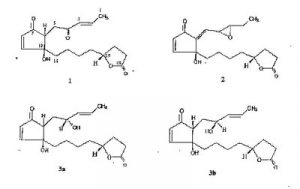 Research Abstracts De La Salle University